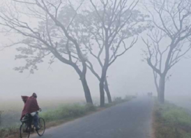 ১৯ জেলায় বইছে মৃদু শৈত্যপ্রবাহ, অব্যাহত থাকার আভাস