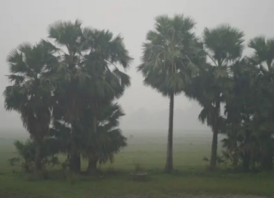 চলতি মাসে একাধিক তীব্র শৈত্যপ্রবাহের আভাস