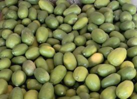 শ্রীমঙ্গলে লেবুর দামে আগুন, বড় সাইজ প্রতি হালি ২০০ টাকা ছুঁয়েছে