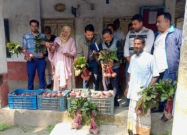 বিদেশী সবজি উৎপাদনে কৃষক আজিজুলের ভাগ্যের চাকা ঘুরছে