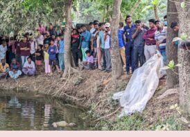নোয়াখালীতে নিখোঁজের দুদিন পর ডোবায় ইটভাটা শ্রমিকের লাশ