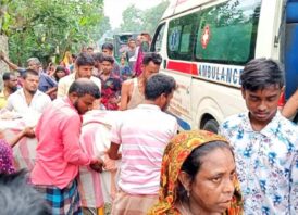 ময়মনসিংহের গৌরীপুরে মাছভর্তি মিনি ট্রাকের ধাক্কায় নিহত- ১