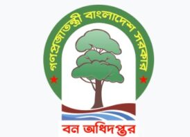 বন বিভাগে পদোন্নতি জট ও কোটি টাকার দুর্নীতি: আদালতের হস্তক্ষেপে তোলপাড়