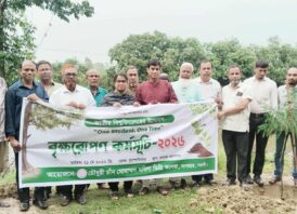 সাপাহারে বৃক্ষরোপণ কর্মসূচি অনুষ্ঠিত