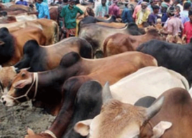 রাজধানীতে বসছে ২৬ অস্থায়ী হাট