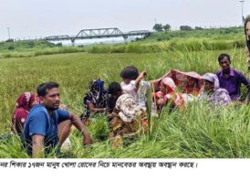 সাপাহার সীমান্তে নারী পুরুষ ও শিশু সহ ১৭ জনকে পুশ ইন চেষ্টা