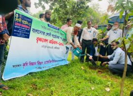 ড্যাফোডিল ইন্টারন্যাশনাল ইউনিভার্সিটিতে পরিবেশ রক্ষায় সাপ্তাহ ব্যাপী কর্মসূচী