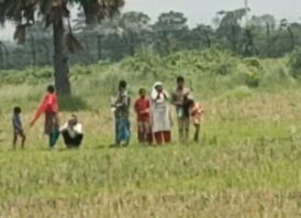 সাপাহার আদাতলা সীমান্তে ৯ জনকে পুশ-ইন চেষ্টা বিজিবির বাধা
