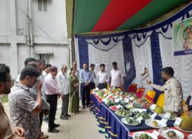 মনোহরগঞ্জে শুরু হলো তিন দিনব্যাপী জাতীয় ফল মেলা