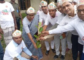 সাপাহারে জাতীয় পল্লী উন্নয়ন দিবস উদযাপন