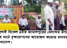 জামালপুরে মেলান্দহে বৃক্ষরোপন কর্মসূচি পালিত হয়েছে