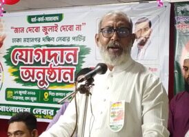 সংসদে গণভোটের রায় বাস্তবায়ন না হলে রাজপথেই ফয়সালা হবে :  ইরান