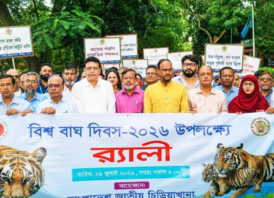 বাঘ সংরক্ষণে জনসচেতনতা বাড়াতে হবে : প্রাণিসম্পদ প্রতিমন্ত্রী