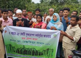 সাপাহারে বৃক্ষরোপণ কর্মসূচির উদ্বোধন