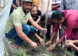 নয়া পল্টনে স্বেচ্ছাসেবক দলের বৃক্ষরোপণ কর্মসূচি
