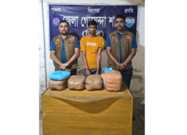 নোয়াখালীতে সিএনজিতে ১১ কেজি গাঁজা, গ্রেপ্তার ১