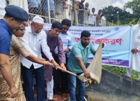 সাপাহারে প্রাতিষ্ঠানিক জলাশয়ে মাছের পোনা অবমুক্ত